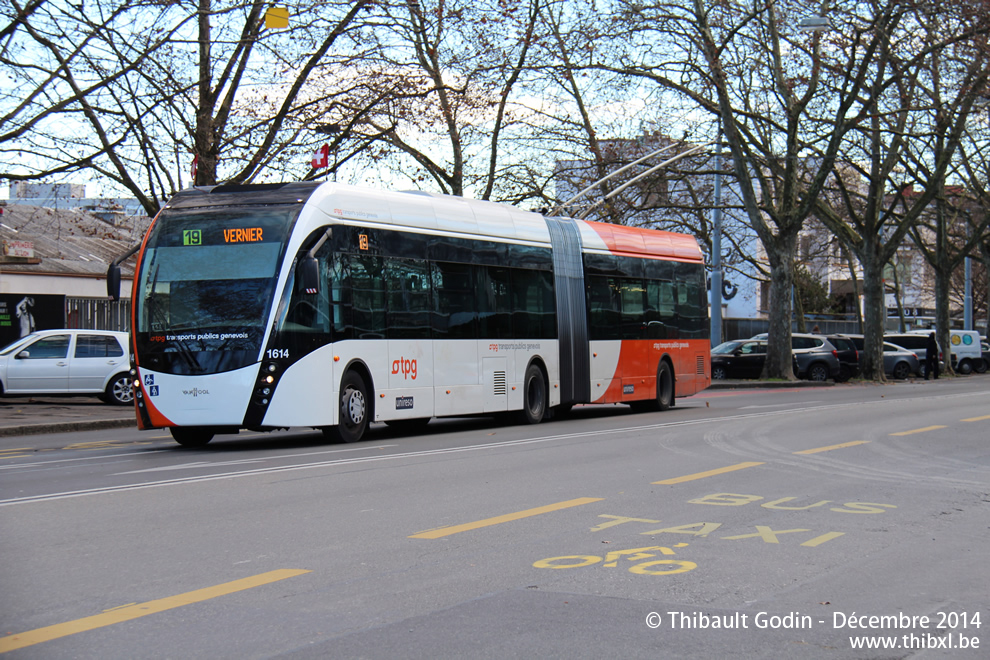 Genève Trolleybus 19