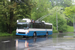 Lucerne Trolleybus 4