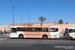 Marrakech Bus