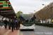 Irisbus Citelis 18 CNG n°8686 (CX-226-AM) sur la Liane 4 (Transpole) à Roubaix