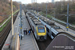 Siemens Desiro AM08 n°08104 (SNCB) à Anvers (Antwerpen)