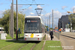 Bombardier Siemens NGT6 Hermelijn n°7242 sur la ligne 15 (De Lijn) à Anvers (Antwerpen)