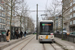 Bombardier Siemens NGT6 Hermelijn n°7239 sur la ligne 2 (De Lijn) à Anvers (Antwerpen)