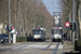 BN PCC n°7161 et n°7154 sur la ligne 24 (De Lijn) à Anvers (Antwerpen)