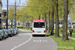 Arnhem Bus 300