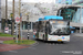 Arnhem Bus 36