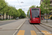 Berne Tram 8