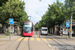 Stadler Tramlink 6/8 n°923 sur la ligne 8 (Bernmobil) à Berne (Bern)