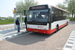 Breskens Bus 42