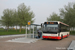 Breskens Bus 42