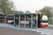 Breskens Bus 42