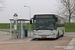 Breskens Bus 42