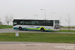 Breskens Bus 42