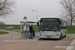Breskens Bus 42