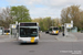 Mercedes-Benz O 530 Citaro II G n°220155 (1-BDV-559) sur la ligne 50 (De Lijn) à Bruges (Brugge)