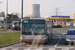 Van Hool NewA330 n°8103 (YNB-507) sur la ligne 50 (STIB - MIVB) à Bruxelles (Brussel)