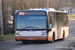 Van Hool NewA330 n°8173 (XJG-835) sur la ligne 89 (STIB - MIVB) à Bruxelles (Brussel)