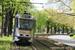 BN PCC 7800 n°7802 sur la ligne 44 (STIB - MIVB) à Bruxelles (Brussel)