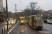 BN PCC 7900 n°7913 sur la ligne 81 (STIB - MIVB) à Bruxelles (Brussel)