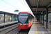 Bombardier Flexity Swift K5000 n°5135 sur la ligne 13 (VRS) à Cologne (Köln)