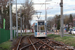 Bombardier Flexity Classic NGT6DE n°305 sur la ligne 1 (DVG) à Dessau-Rosslau