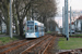 Bombardier Flexity Classic NGT6DE n°305 sur la ligne 1 (DVG) à Dessau-Rosslau