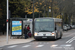 Dijon Bus 12