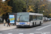 Dijon Bus 13