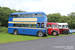 Guy Arab III Cravens n°RO607 (AWG 393), Leyland Tiger TS8 Alexander n°205 (WG 8107) et Guy Arab III MCW n°739 (ESG 652) au Scottish Vintage Bus Museum à Lathalmond