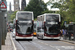 Volvo B8L Alexander Dennis Enviro400 XLB n°1065 (SJ19 OVY) sur la ligne 11 (TfE) à Edimbourg (Edinburgh)