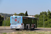 Florence Bus 15