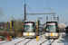 Bombardier Siemens NGT6 Hermelijn n°6336 et n°6316 sur la ligne 1 (De Lijn) à Gand (Gent)