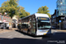 Van Hool NewA330 FC n°7220 (13-BRJ-9) sur la ligne 8 (Stadsbus) à Groningue (Groningen)