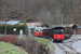 Remorque GR001 sur le Tramway des grottes de Han à Han-sur-Lesse