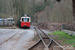 Autorail Baume & Marpent AR168 sur le Tramway des grottes de Han à Han-sur-Lesse