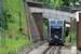 Rame n°2 sur le Molkenkurbahn (HSB) à Heidelberg