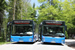 MAN A47 NL 283 Lion's City M (OAL-C 804 et OAL-C 806) sur la navette à Hohenschwangau