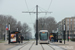 Le Havre Trams