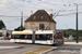 Limoges Trolleybus 2