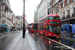 Wright New Routemaster n°LT428 (LTZ 1428) sur la ligne 176 (TfL) à Londres (London)