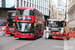 Alexander Dennis E40D Enviro400 City Hybrid n°12531 (SN66 WRU) sur la ligne 388 (TfL) à Londres (London)