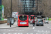 Alexander Dennis E20D Enviro200 Classic n°8559 (YX11 AEJ) sur la ligne C10 (TfL) à Londres (London)