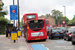 Alexander Dennis E20D Enviro200 Classic n°SE146 (YX61 BXO) sur la ligne D8 (TfL) à Londres (London)