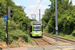 Bombardier Flexity Swift CR4000 n°2533 sur la ligne 2 (TfL) à Londres (London)