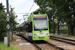 Bombardier Flexity Swift CR4000 n°2532 sur la ligne 2 (TfL) à Londres (London)