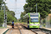 Bombardier Flexity Swift CR4000 n°2550 sur la ligne 2 (TfL) à Londres (London)