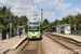 Bombardier Flexity Swift CR4000 n°2543 sur la ligne 2 (TfL) à Londres (London)