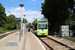 Bombardier Flexity Swift CR4000 n°2549 sur la ligne 3 (TfL) à Londres (London)