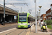 Bombardier Flexity Swift CR4000 n°2542 sur la ligne 3 (TfL) à Londres (London)