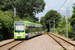 Bombardier Flexity Swift CR4000 n°2542 sur la ligne 3 (TfL) à Londres (London)